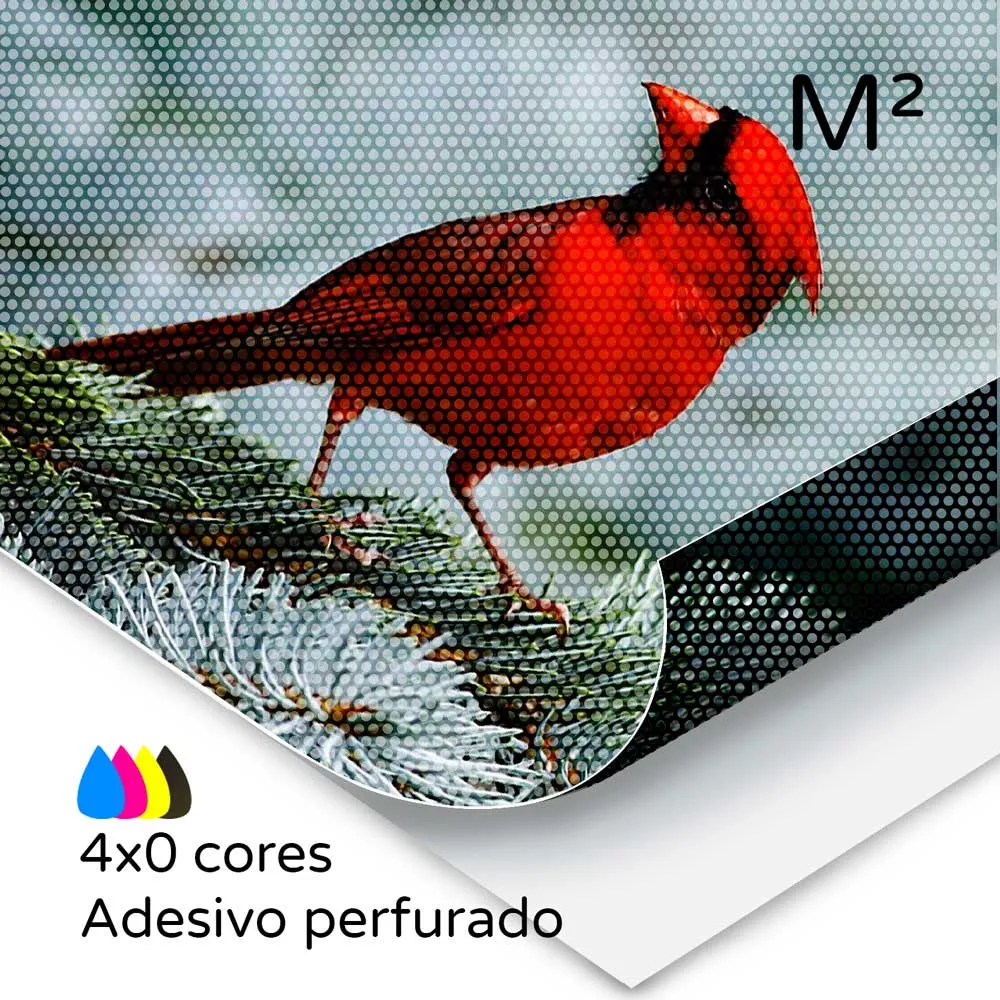 Vinil adesivo perfurado